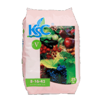KSC 5